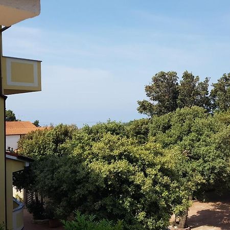 Premium Appartments Suha Punta Kampor エクステリア 写真
