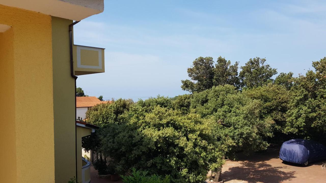 Premium Appartments Suha Punta Kampor エクステリア 写真
